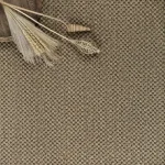 Sisal Bombay Coriander Seed Dubai
