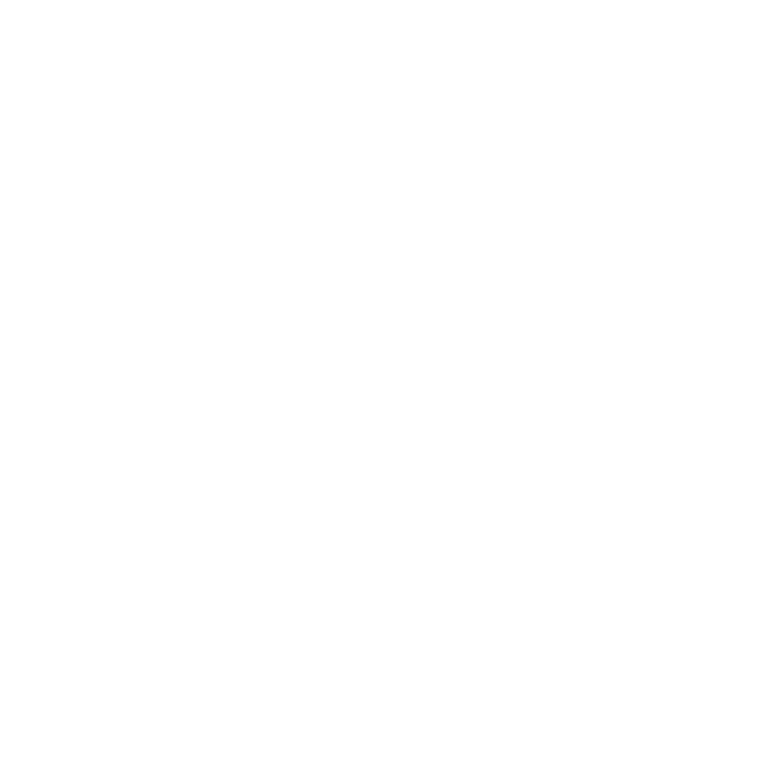 Expert Services